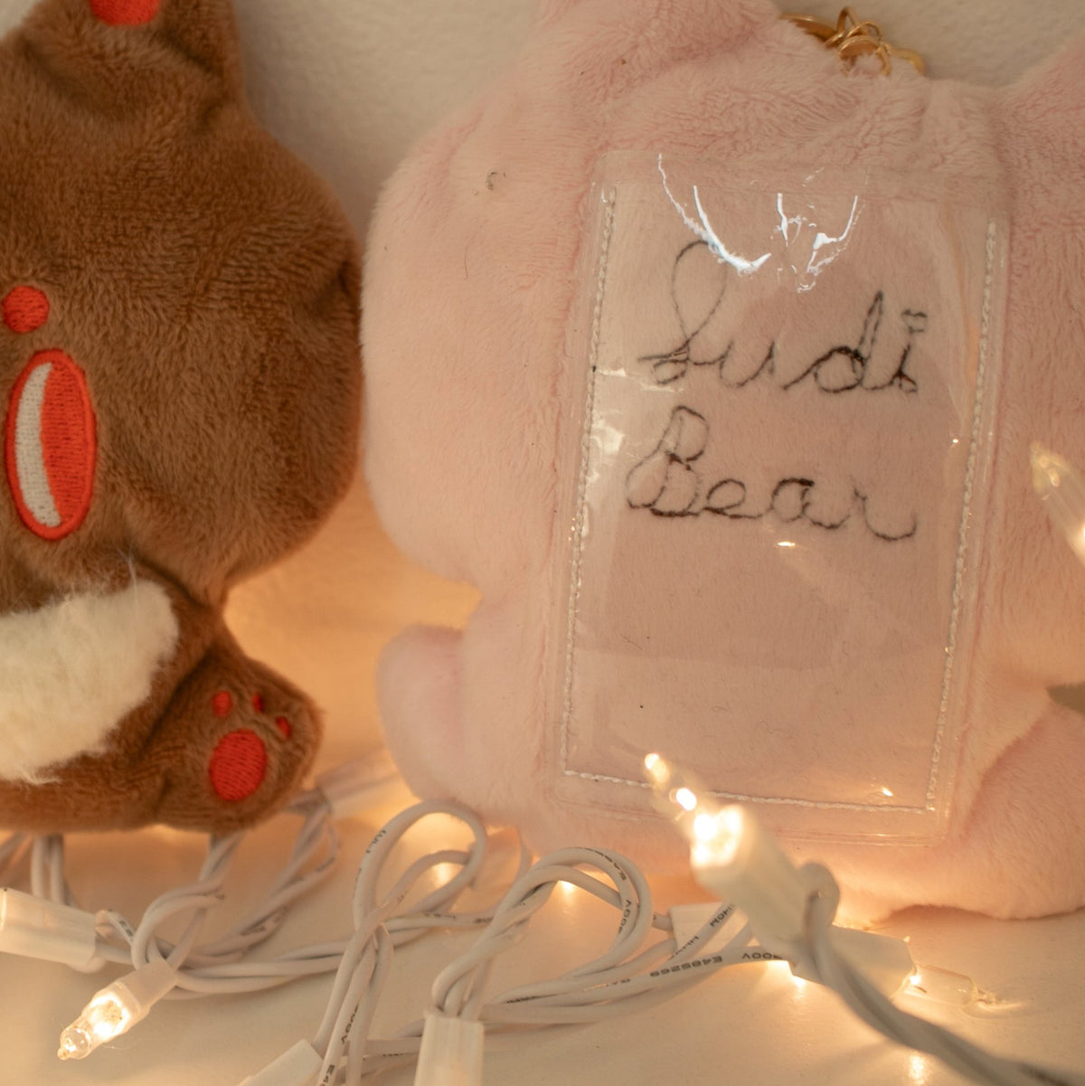 Bear Cardholder Plush Keychain | SudiBear